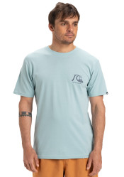 Quiksilver EQYZT08039-BGW0 Evo Original Bs Ss Tee