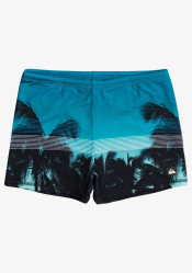 Pánske plavky Quiksilver EQYS503031-BPJ6 Everyday Swimmer
