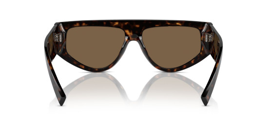 detail Slnečné okuliare Dolce & Gabbana 0DG4461 502/73 – Havana / Dark Brown