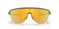 náhľad Oakley 9248-0342 Corridor Mt Carbon w/ Prizm 24K