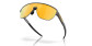 náhľad Oakley 9248-0342 Corridor Mt Carbon w/ Prizm 24K