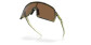 náhľad Slnečné okuliare Oakley 9462-1128 Sutro S Trans Fern Swirl / Prizm Bronze