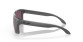 náhľad Oakley 9102-B555 Holbrook Steel w/ PRIZM Daily Polar