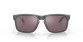náhľad Oakley 9102-B555 Holbrook Steel w/ PRIZM Daily Polar