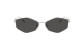 náhľad Slnečné okuliare Jimmy Choo JC4017 300287 55 – Silver / Dark Grey