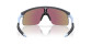 náhľad Slnečné okuliare Oakley 9010-1623 Resistor Blue Stl W/Prizm Spphir