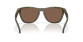 náhľad Slnečné okuliare Oakley 9503-0458 FrogskinsRangeXLGrn/Przm 24K P