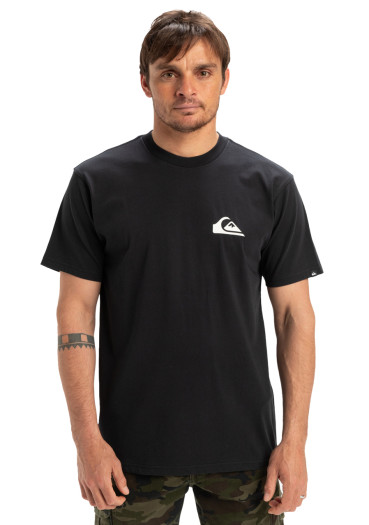 detail Quiksilver EQYZT08042-KVJ0 Ev Mini Logo Ss