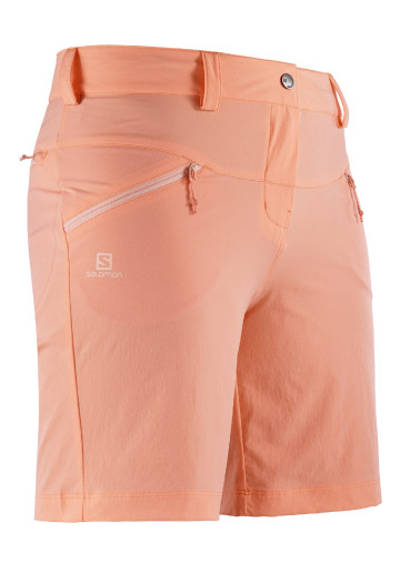 detail Salomon WAYFARER LT SHORT W PAPAYA