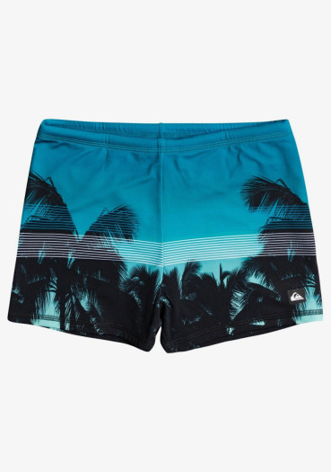 detail Pánske plavky Quiksilver EQYS503031-BPJ6 Everyday Swimmer