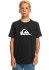 detail QUIKSILVER EQBZT04369-KVJ0 COMPLOGO B TEES KVJ0