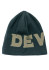 detail Čiapky Devold Devold Logo Merino Beanie Woods