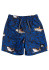 detail Detské šortky Quiksilver EQKJV03156-KSH6 Sharky 12 