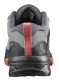 náhľad Salomon X Ultra 4 Gtx W Allo/Qush/Burnt Sie