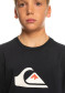 náhľad QUIKSILVER EQBZT04369-KVJ0 COMPLOGO B TEES KVJ0