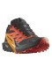 náhľad Salomon Sense Ride 5 GTX Black/Scarlet Ibis