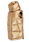 náhľad Goldbergh Flash Bodywarmer gold