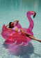 náhľad Goldbergh Crystal Bikini Top Miami Pink