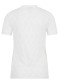 náhľad Dámské tričko Sportalm 250168 Eucalyptus Mist 