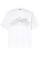 náhľad Oakley Wired Mtn Scape Tee White 100