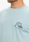 náhľad Quiksilver EQYZT08039-BGW0 Evo Original Bs Ss Tee