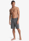 náhľad Pánske kraťasy Quiksilver EQYHY03877-KVJH Union Heather Amphibian 19