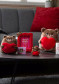 náhľad Plyšový medvedík Legami Legami Plush - Super Cute! - Teddy Bear