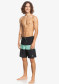 náhľad Pánske kraťasy Quiksilver EQYBS04566-GEA6 Boardshorts for Men