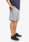 náhľad Pánske šortky Quiksilver EQYFB03206-SJSH Essential short tery