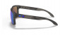náhľad Slnečné okuliare Oakley 9102-G755 Holbrook Mtt Blk Tort w/ PRIZM Sapph Pol 